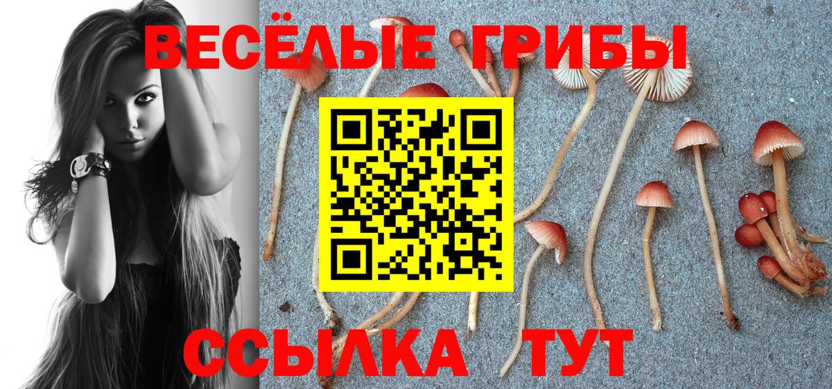 Псилоцибиновые грибы прущие грибы Ржев