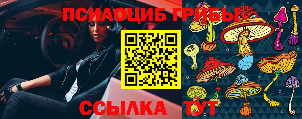Псилоцибиновые грибы GOLDEN TEACHER Ржев