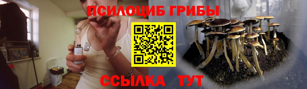 Галлюциногенные грибы Cubensis  Вход с VPN  Ржев  Галлюциногенные грибы GOLDEN TEACHER 
